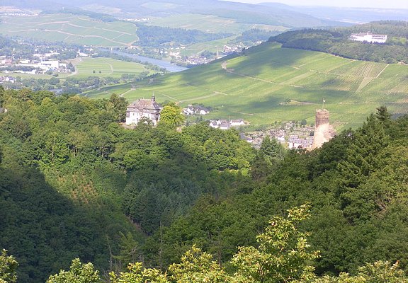 Bresgenruh - Aussichtspunkt