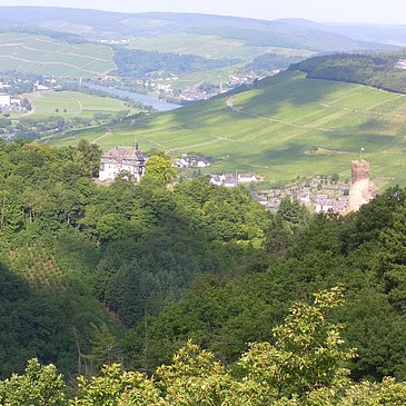 Bresgenruh - Aussichtspunkt