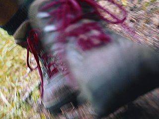 Wandern im Moselhunsrück in Kleinich