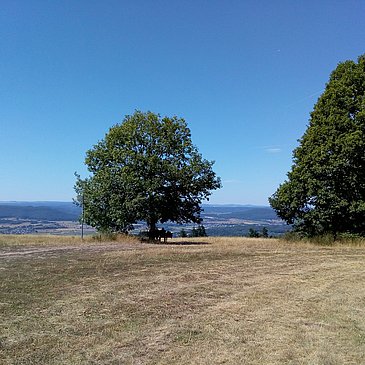 Eifelblick am Panorama Wanderweg Piesport