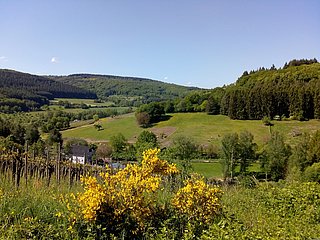 Blick auf den Reiterhof