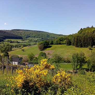 Blick auf den Reiterhof