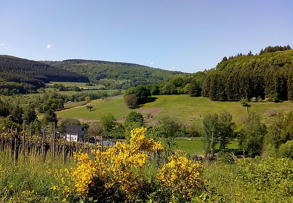 Blick auf den Reiterhof