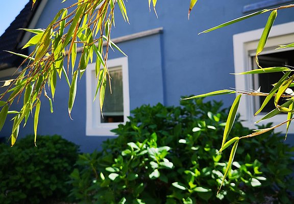 Das blaue Haus