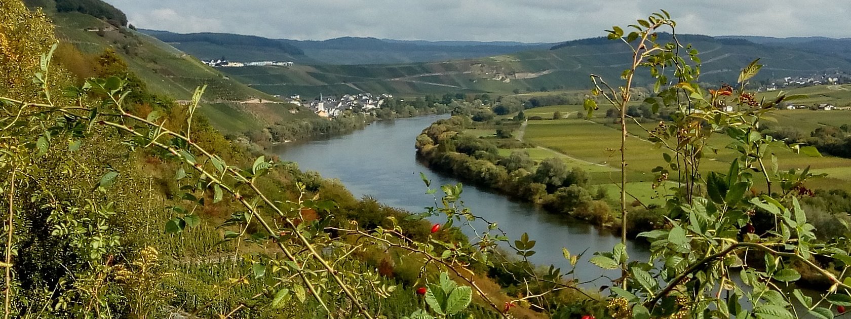 Moselblick vom Wanderweg "Kestener Schweiz"