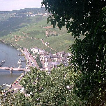 Blick von der Burg auf die Altstadt