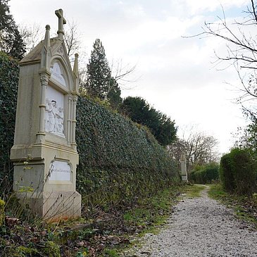 DSC01971
