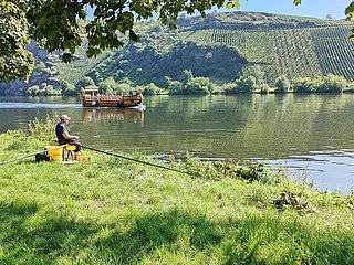 Angler am Moselufer in Neumagen-Dhron