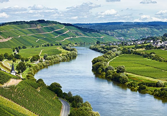 Moseltal bei Brauneberg