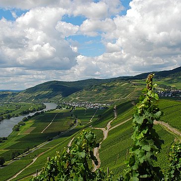 Moselblick_2