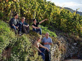 Familie im Weinberg