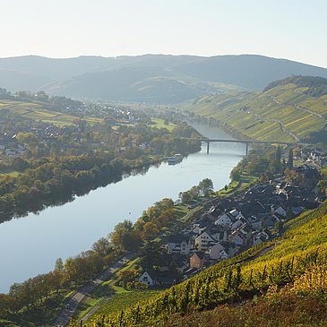 Aussicht auf die Mosel und Lieser