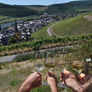 Weinwanderung Raus in die Reben