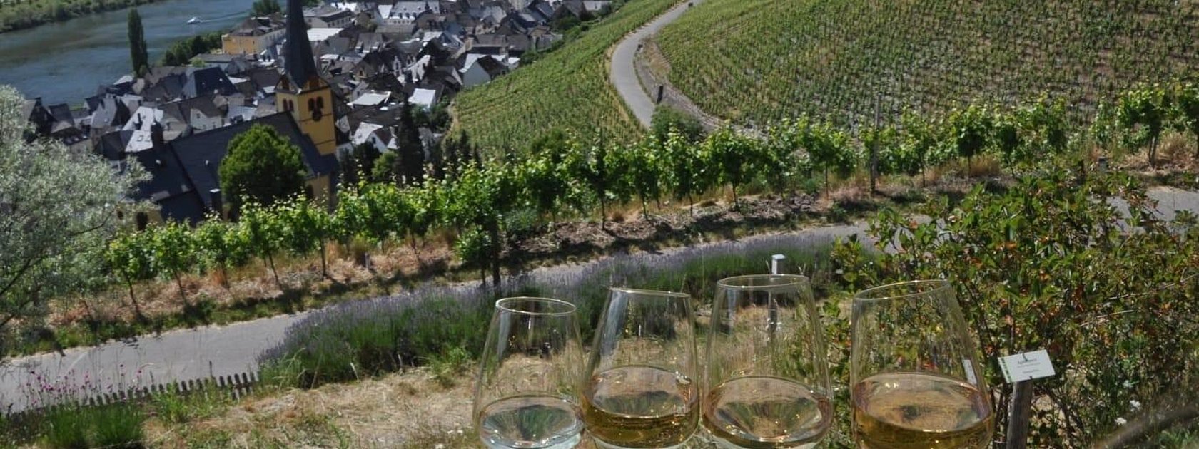 Weinwanderung Raus in die Reben