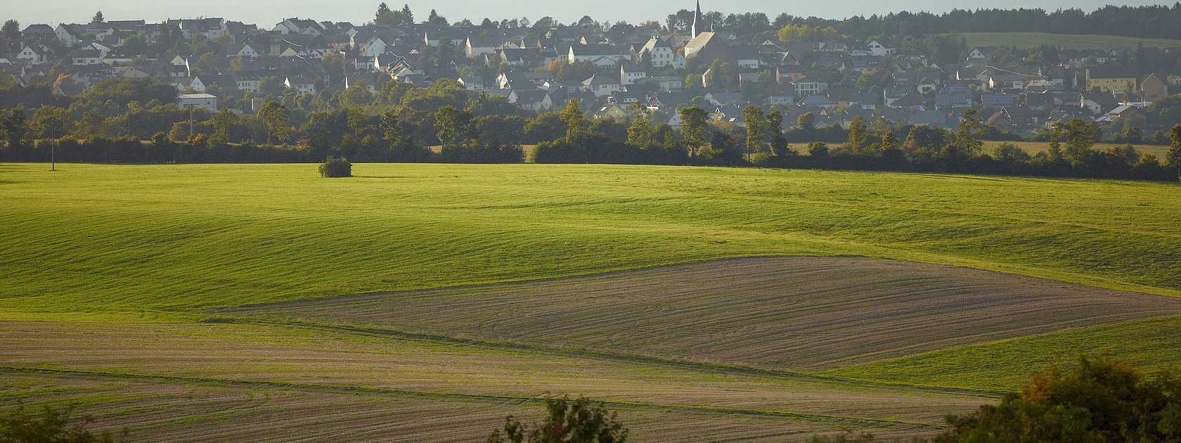 Aussicht auf Monzelfeld
