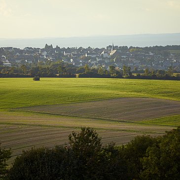 Aussicht auf Monzelfeld