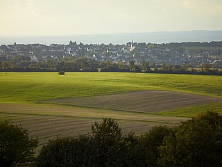 Aussicht auf Monzelfeld