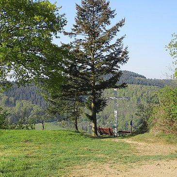 Plantert Kreuz oberhalb von Zeltingen-Rachtig