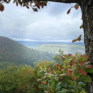 Weitsichten entlang der Strecke