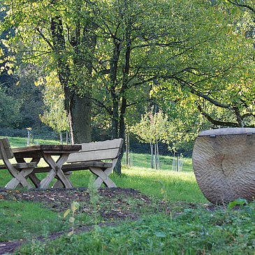 Auf dem Obstartweg in Wehlen