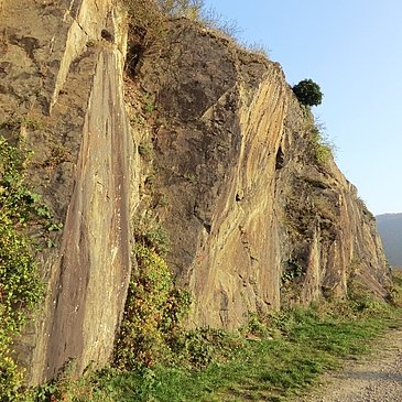 Felswände oberhalb von Senheim