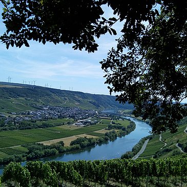 Aussicht auf Wintrich