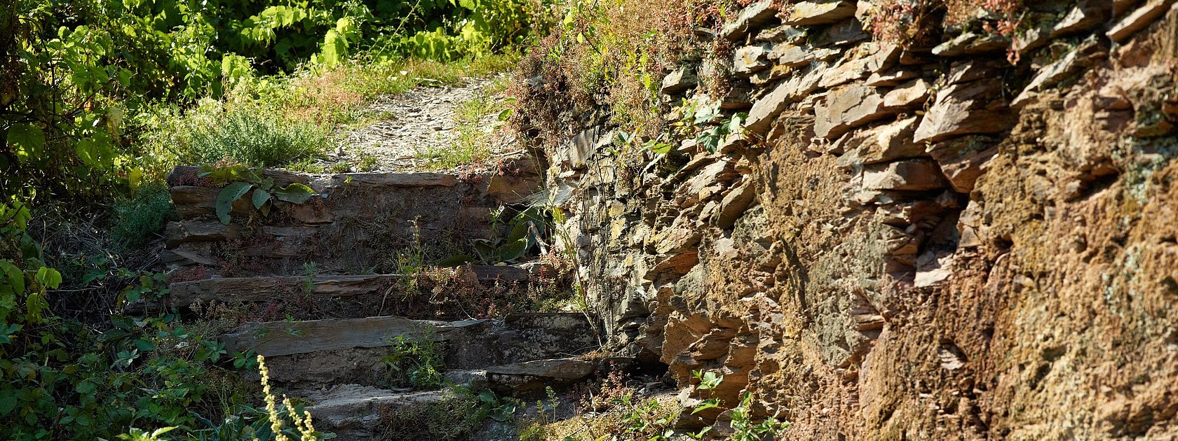 Leuchtpunkt in Erden
