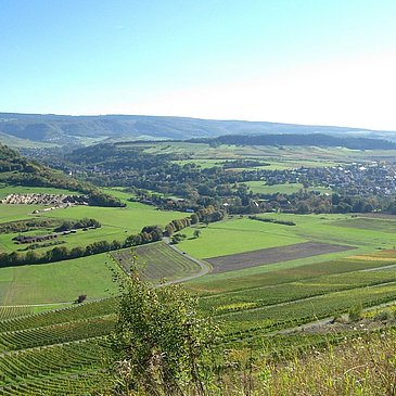 Weinberge und Wiesen von Lieser und Maring-Noviand