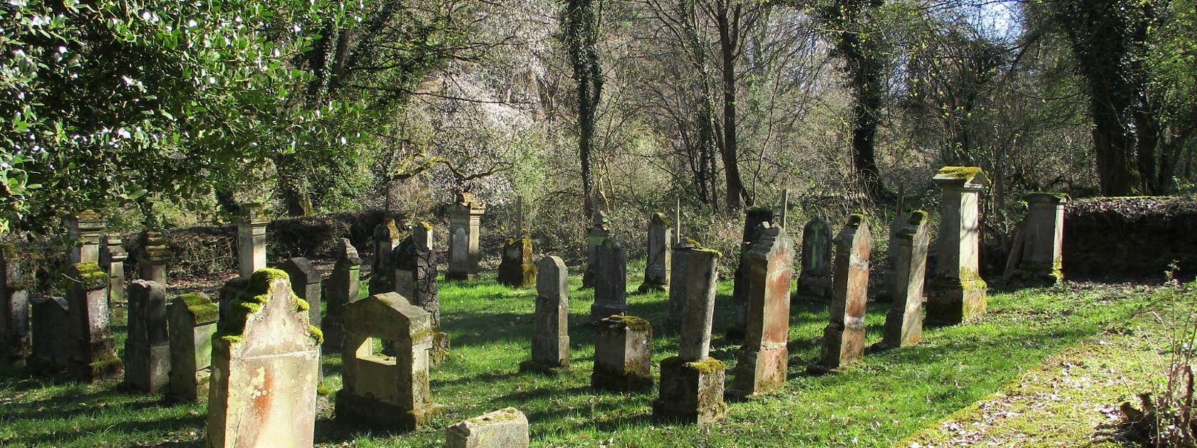 Neue Jüdische Friedhof