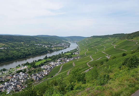 Ausblick auf Graach und die Weinberge