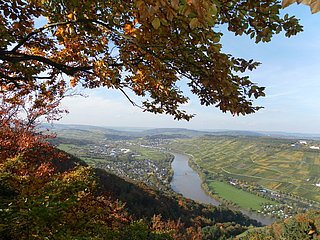 Ausblick "Wilhelmshöhe"
