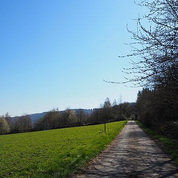 Überwiegend geteerte Wege