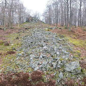 Steinwall der Heidemauer