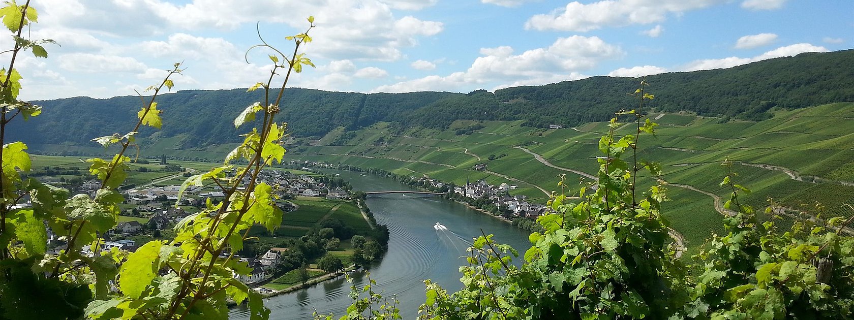 Piesport