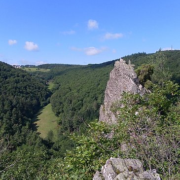 "Goldenes Kreuz" im Wald von Bernkastel-Kues