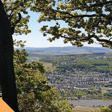 Wandern an der Mosel im Ferienland Bernkastel-Kues