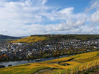 Weinberge über Bernkastel-Kues