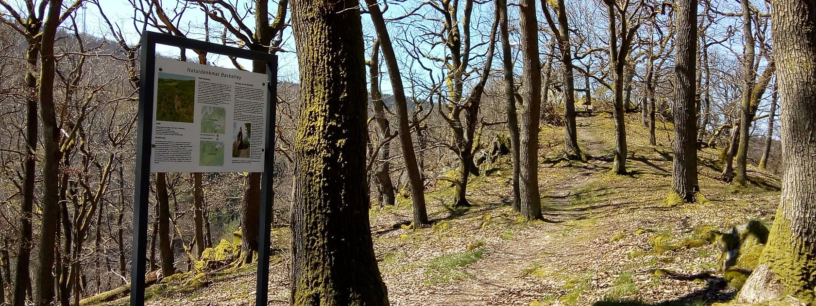 Infotafel an der Barbelley