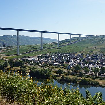 Hochmoselbrücke bei Zeltingen-Rachtig