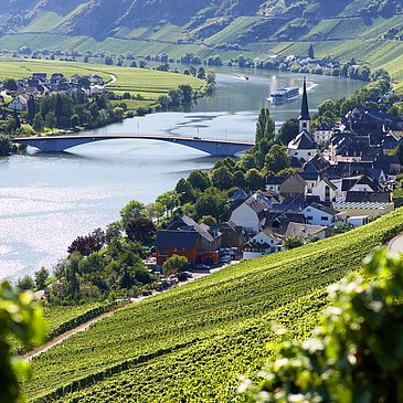 Blick auf Alt Piesport