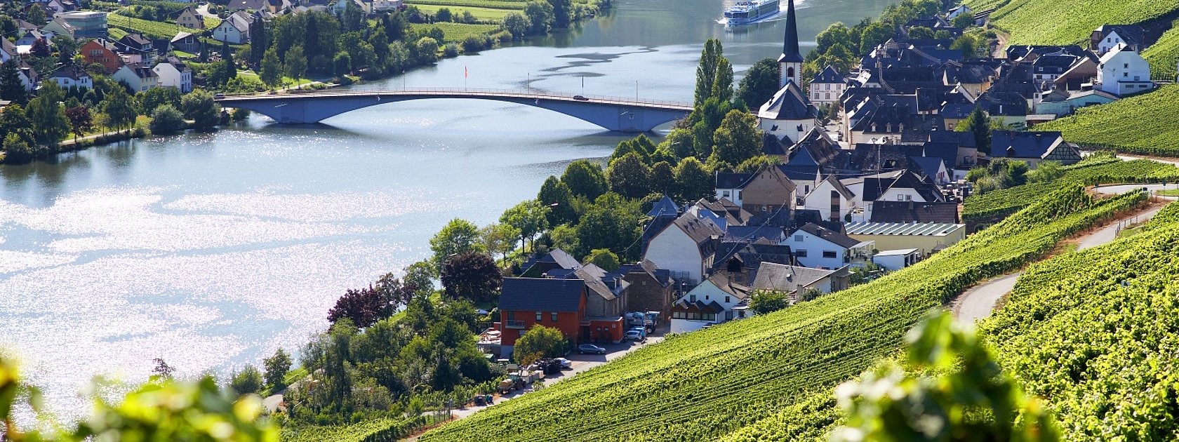 Blick auf Alt Piesport