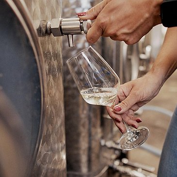 Weingenuss im Weingut Hugo Hower