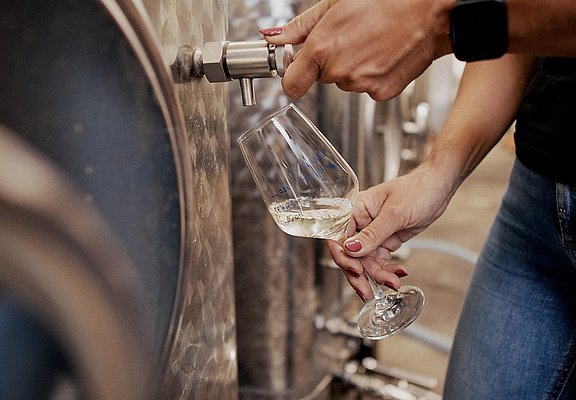 Weingenuss im Weingut Hugo Hower