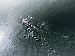Ruderer auf der Mosel
