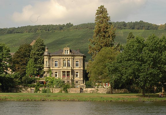 Weingut