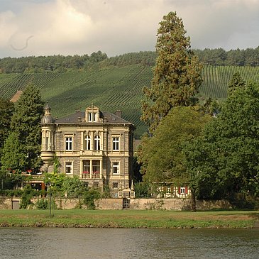 Weingut