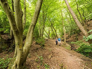 Kabeiner Bachtal