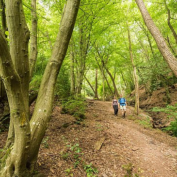 Kabeiner Bachtal