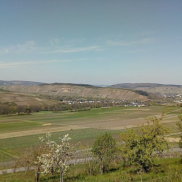 Aussicht vom Panoramaweg