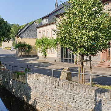 Der Fronbach in Burgen